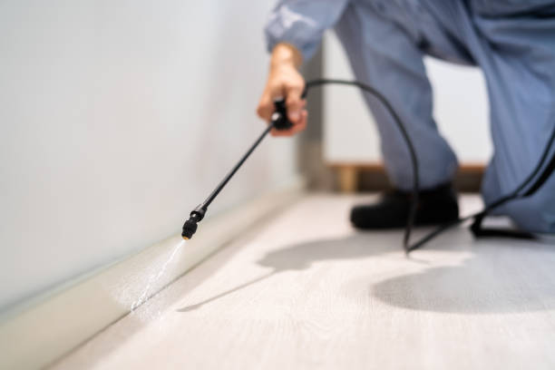 Licensed Pest Control service in Stuart, VA - Show Me Pest Control