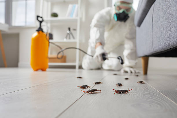 Commercial Kitchen Cockroach Control in Stuart